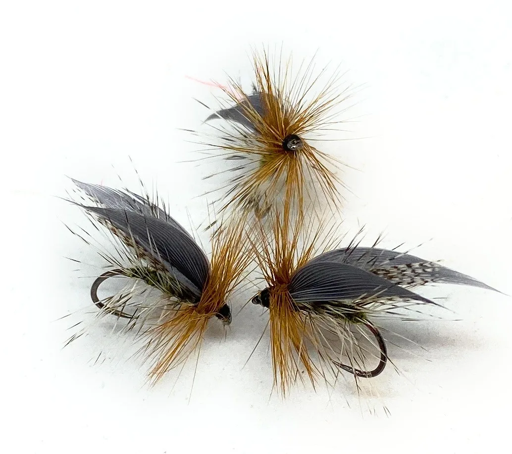 Henryville Special Traditional Dry Fly <p> 3 artificiali. – featured