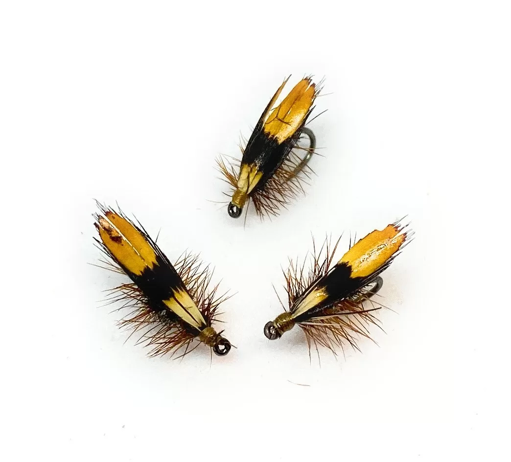 Jassid Japanese Beatle Traditional Dry Fly <p> 3 artificiali. – featured