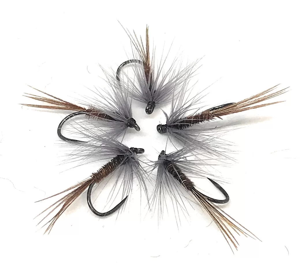 Pheasant Tail Wet Fly <p> 3 artificiali. – featured