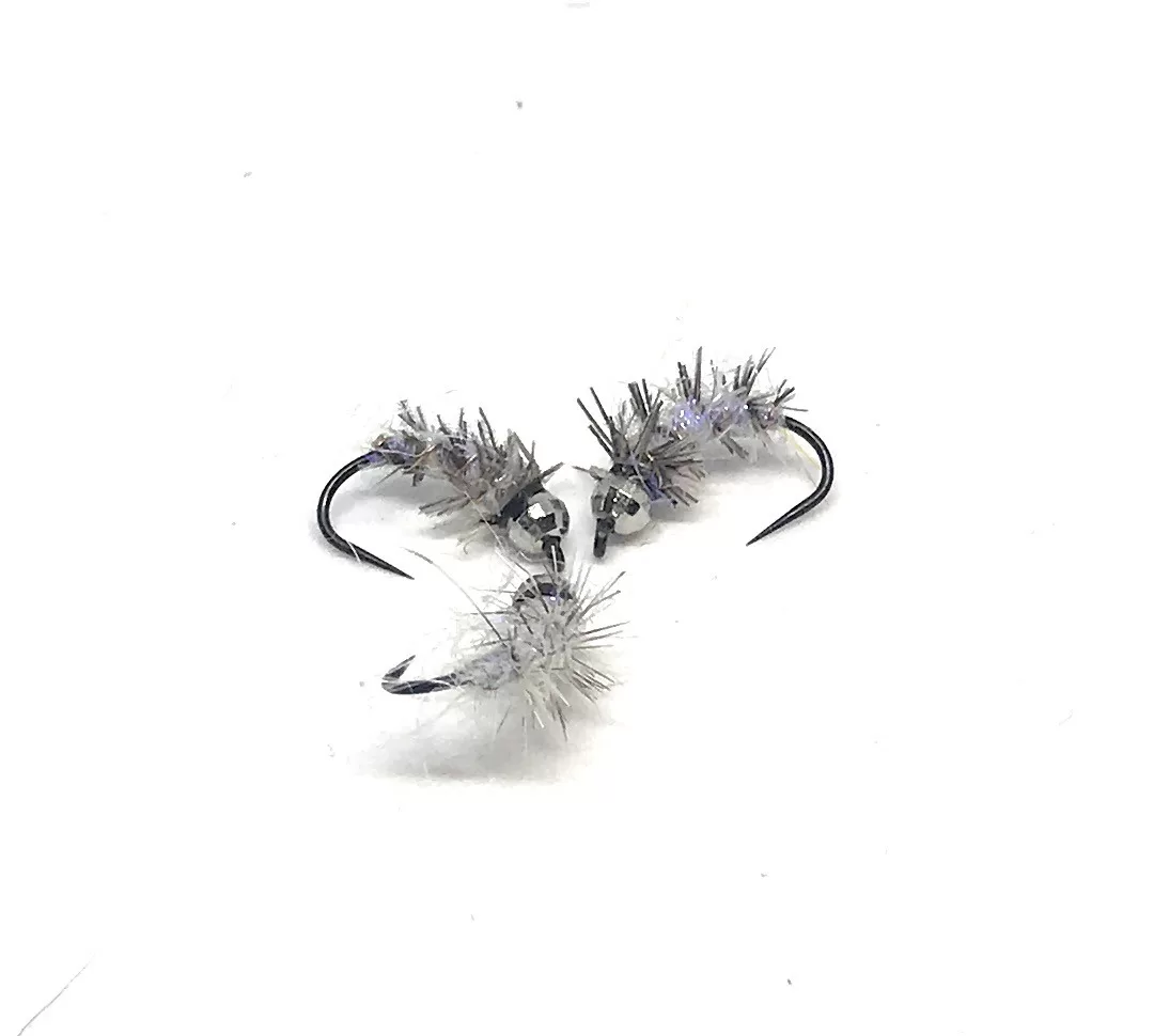 Phryganea Larvae   Nymph <p> 3 artificiali. – featured