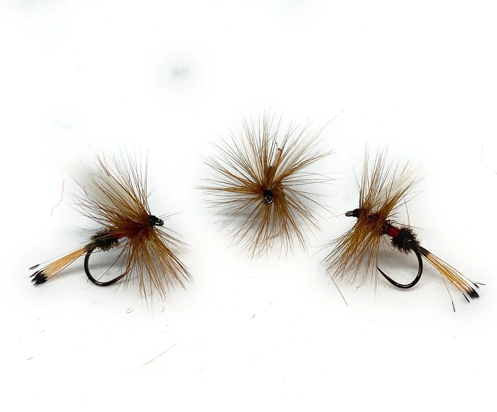Royal Coachman Traditional Dry Fly <p> 3 artificiali. – featured
