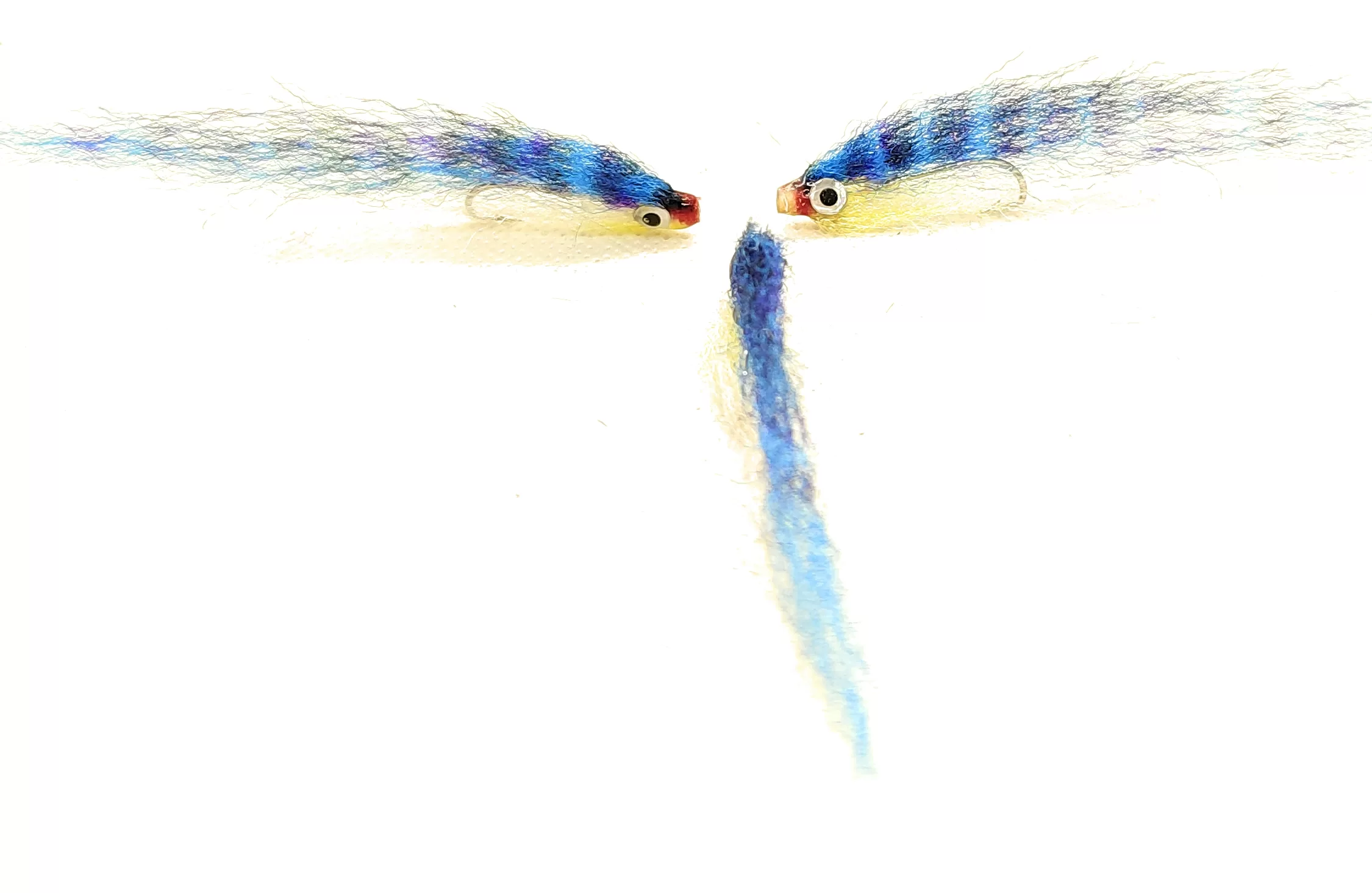 Little Tube Mackerel <u><b><p> 1 artificiali.</u></b></p> – featured