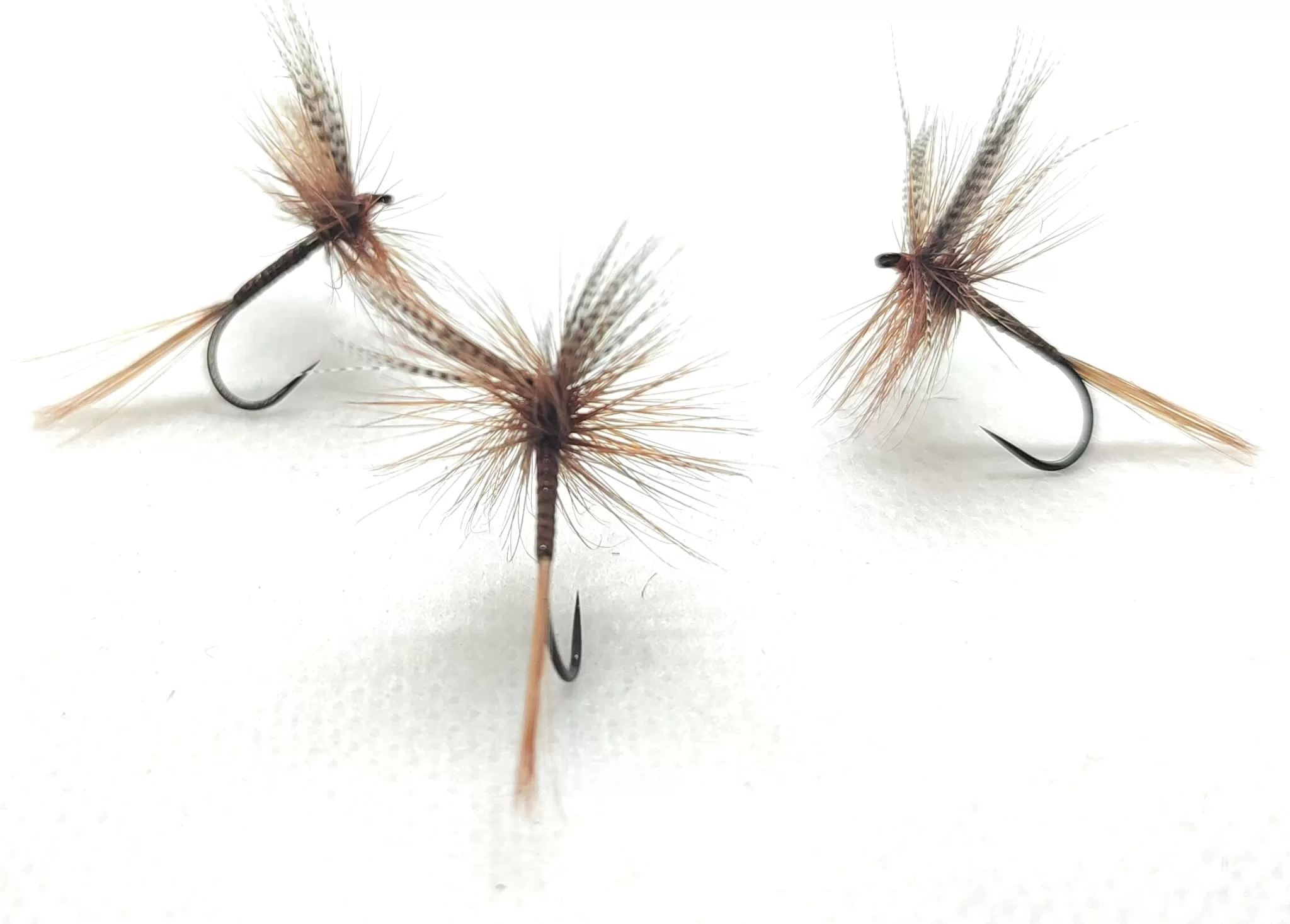 Red Spinner Brown Dry Fly <p> 3 artificiali. – featured