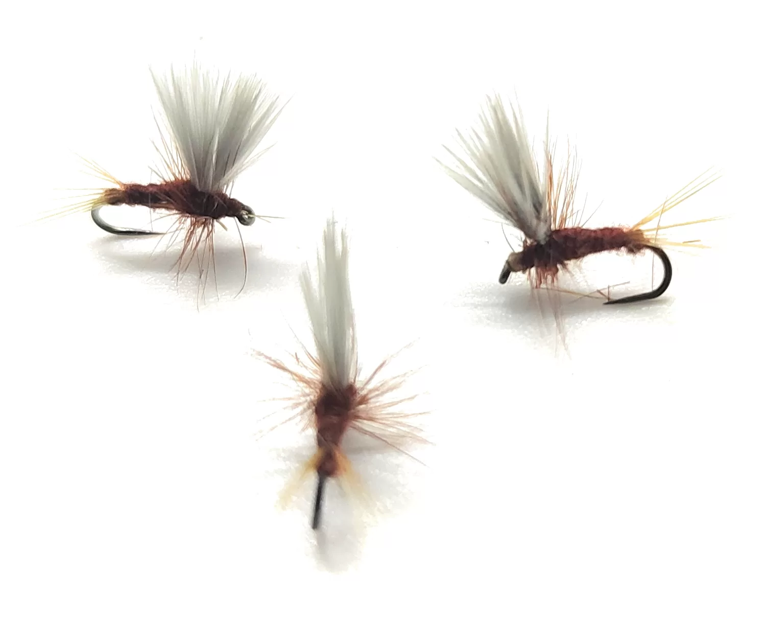 Thorax Rusty Dry Fly <p> 3 artificiali. – featured