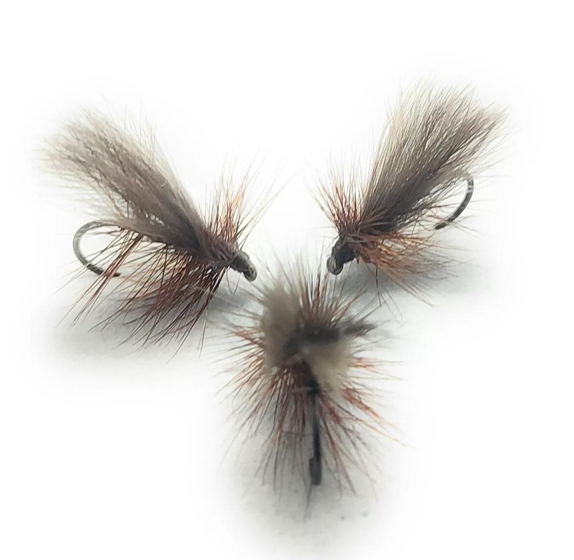 CDC Caddis Dun Dry Fly <p> 3 artificiali. – featured