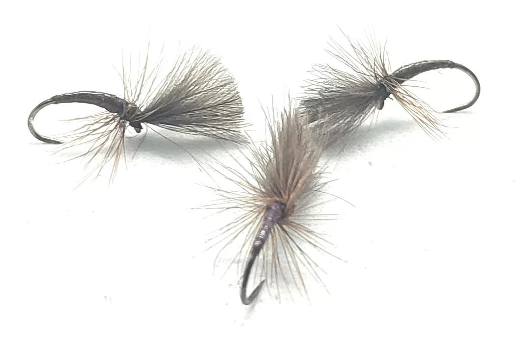 Cripple Dun Violet CDC Dry Fly <p> 3 artificiali. – featured