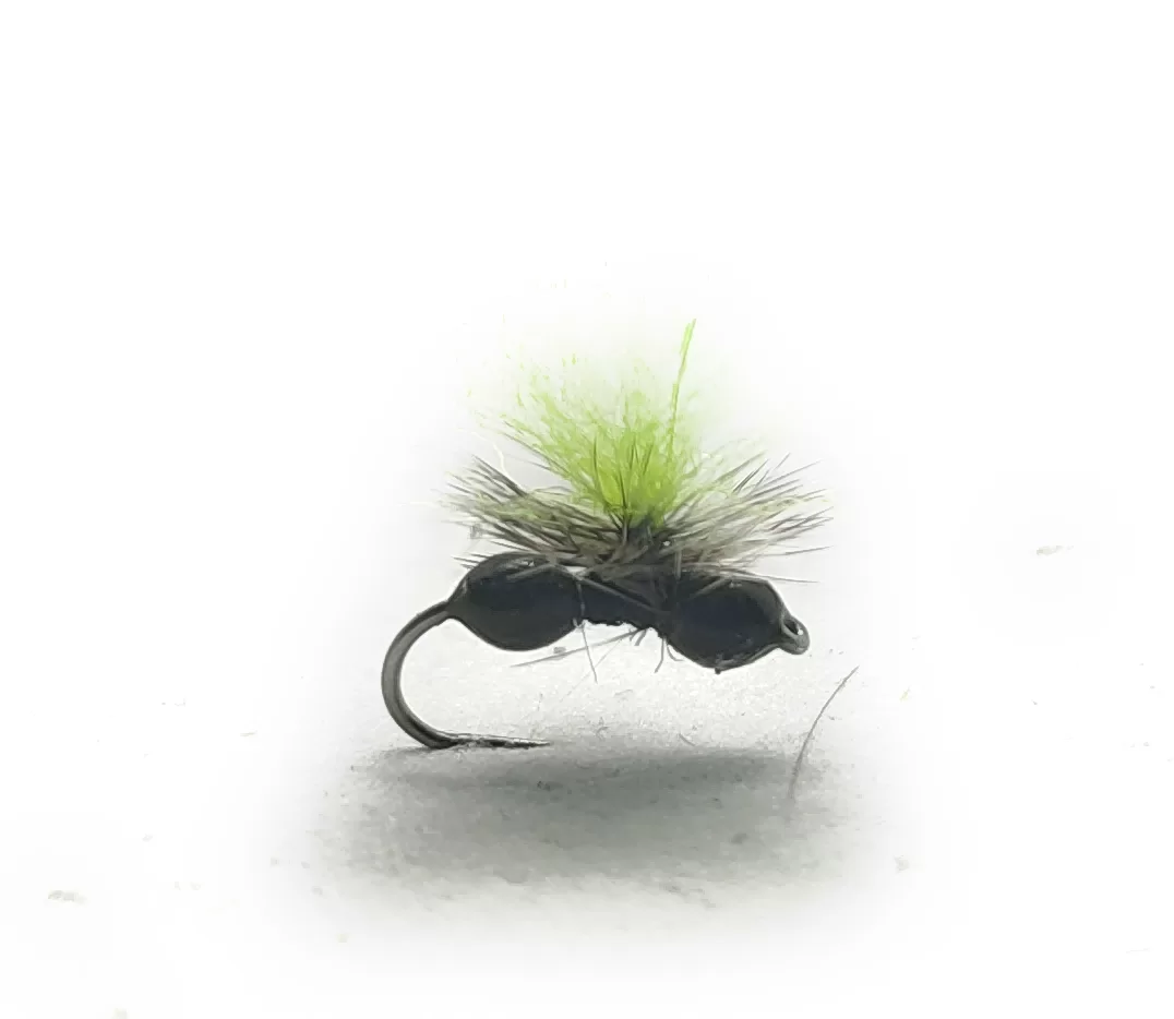 Parachute Ant Black & Green Spot <p> 3 artificiali. – featured