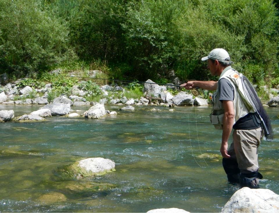 1° Origini e Storia della Czech Nymph