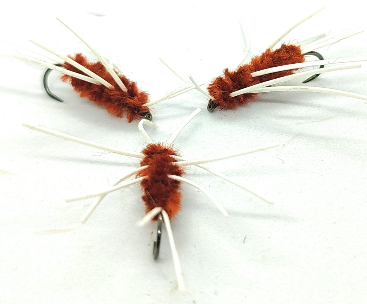Ninfa Girdle Bug "Rusty Brown"<p> 3 artificiali