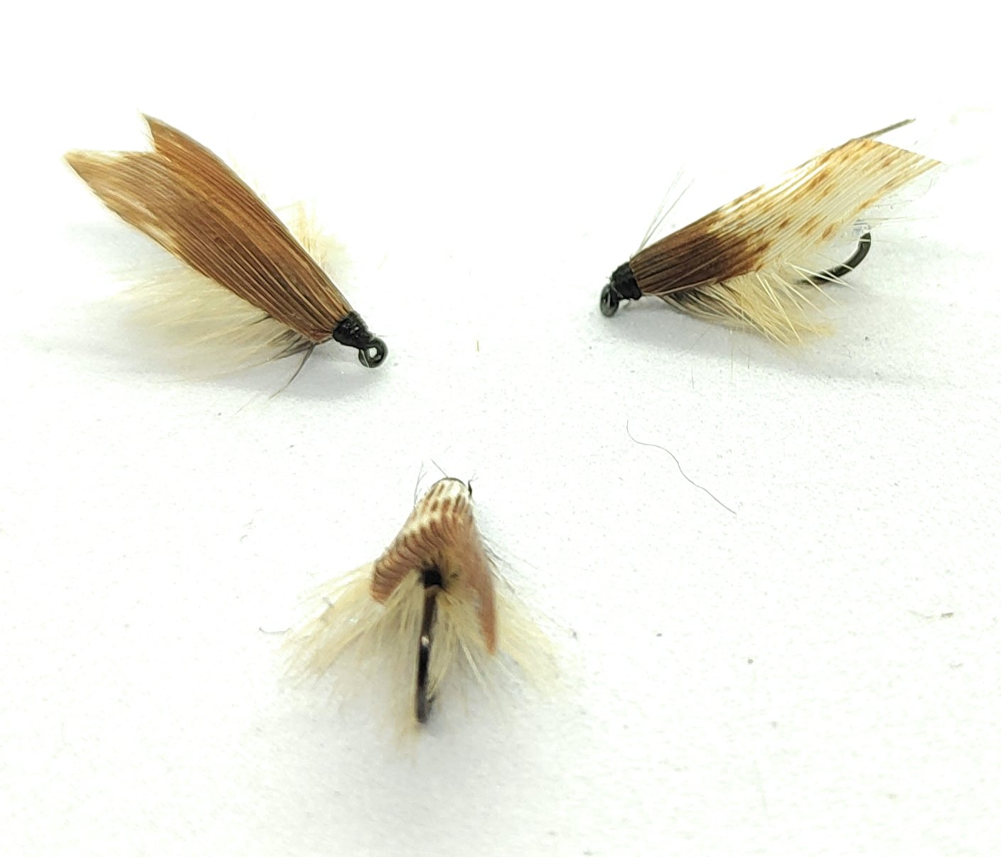 Simple Roof Wing Caddis - Tan Variegated| 3 artificiali.